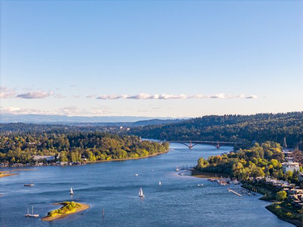 A wide river winds through a green landscape with small boats, sailboats, and a distant bridge, under a clear blue sky.