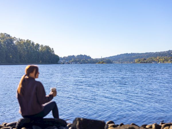 A person sits on rocks by a calm lake, holding a cup, with trees and hills in the distance under a clear blue sky.